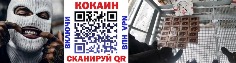 Купить закладки  Усть-Илимск  Cocaine Fish Scale 