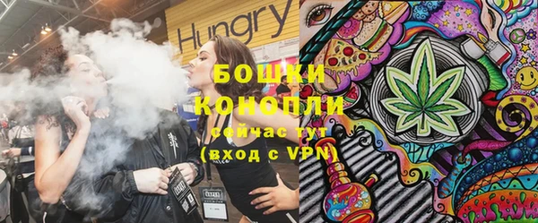сатива Карпинск