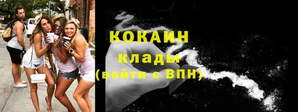 сатива Карпинск