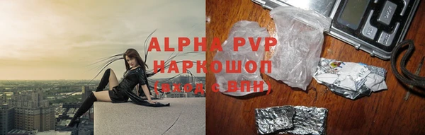 сатива Карпинск