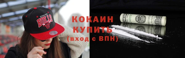 сатива Карпинск