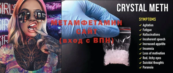сатива Карпинск