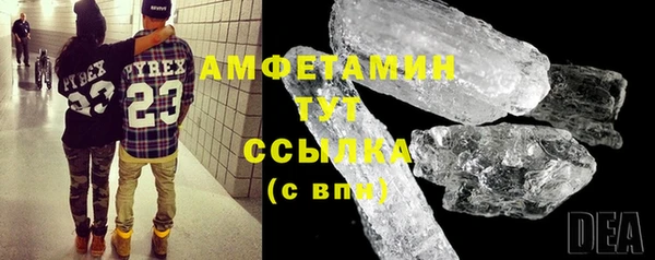 сатива Карпинск